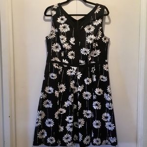 12P Talbots Black & White Daisy Print Dress